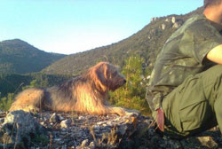 Break during a hunt.