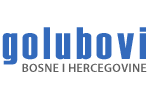 Bosanski golubovi